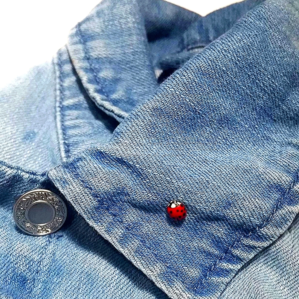 NWT Adorable Ladybug Pin.